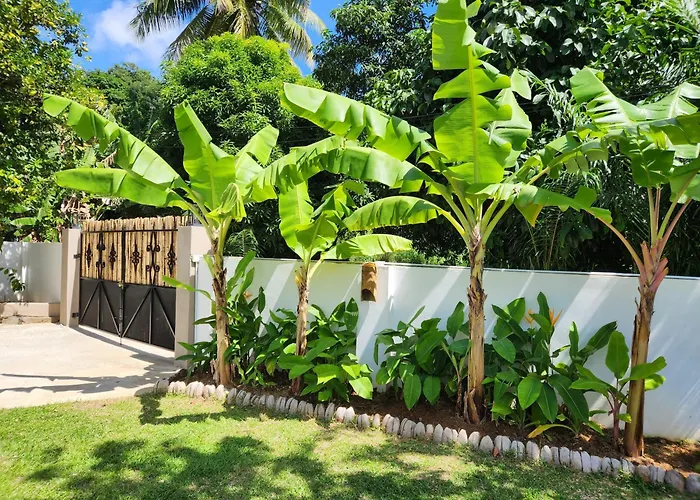 Kaz Memel