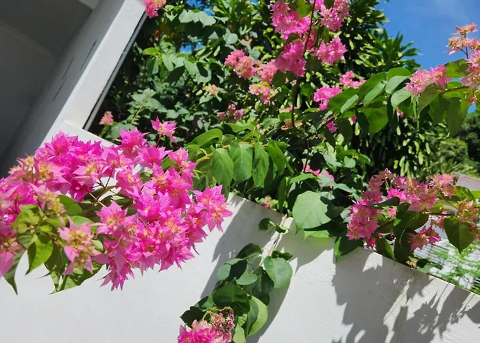 Kaz Memel * Beau Vallon (Mahe)